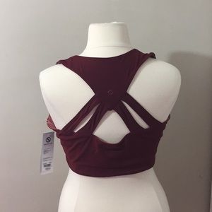 NWT! Shape Active Sports Bra, 2x